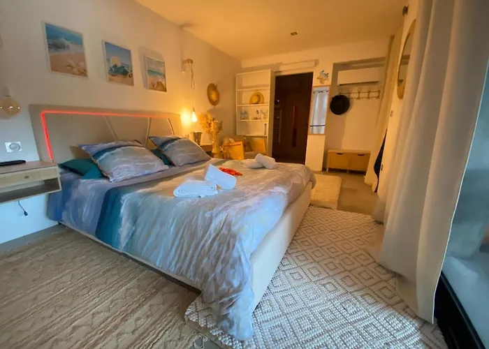 Avec Sauna Et Jacuzzi 公寓 Saint-Raphaël